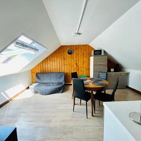 Les Paquerettes N 4 Apartment Le Mont-Dore