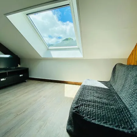 Les Paquerettes N 4 Apartment Le Mont-Dore